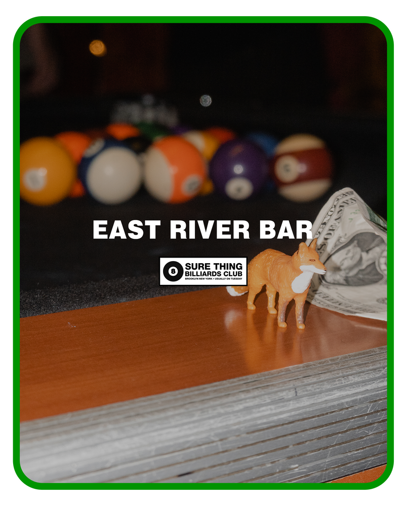 Sure Thing Billiards Club: East River Bar (Williamsburg)